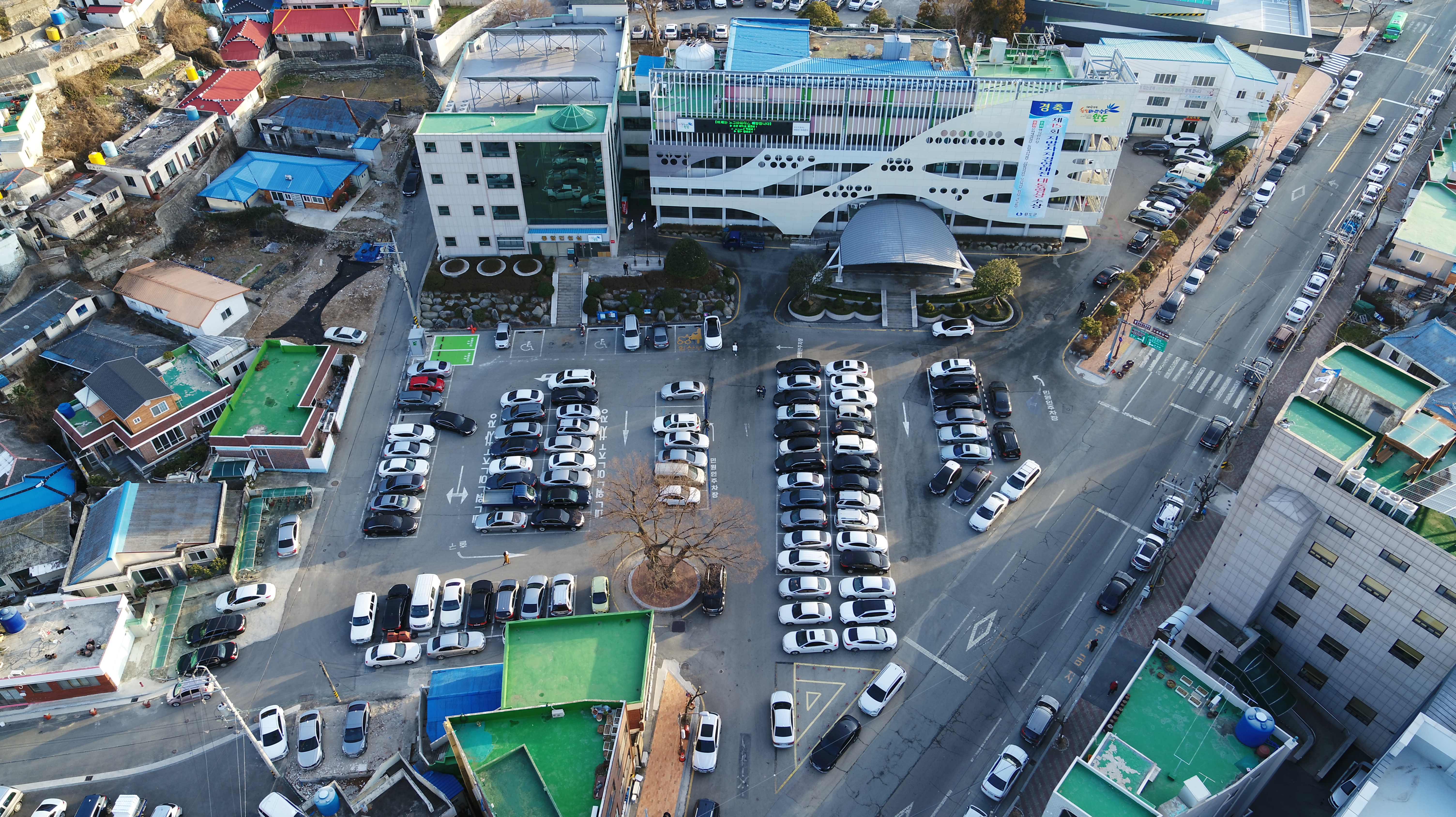 완도군청 주차장 무…