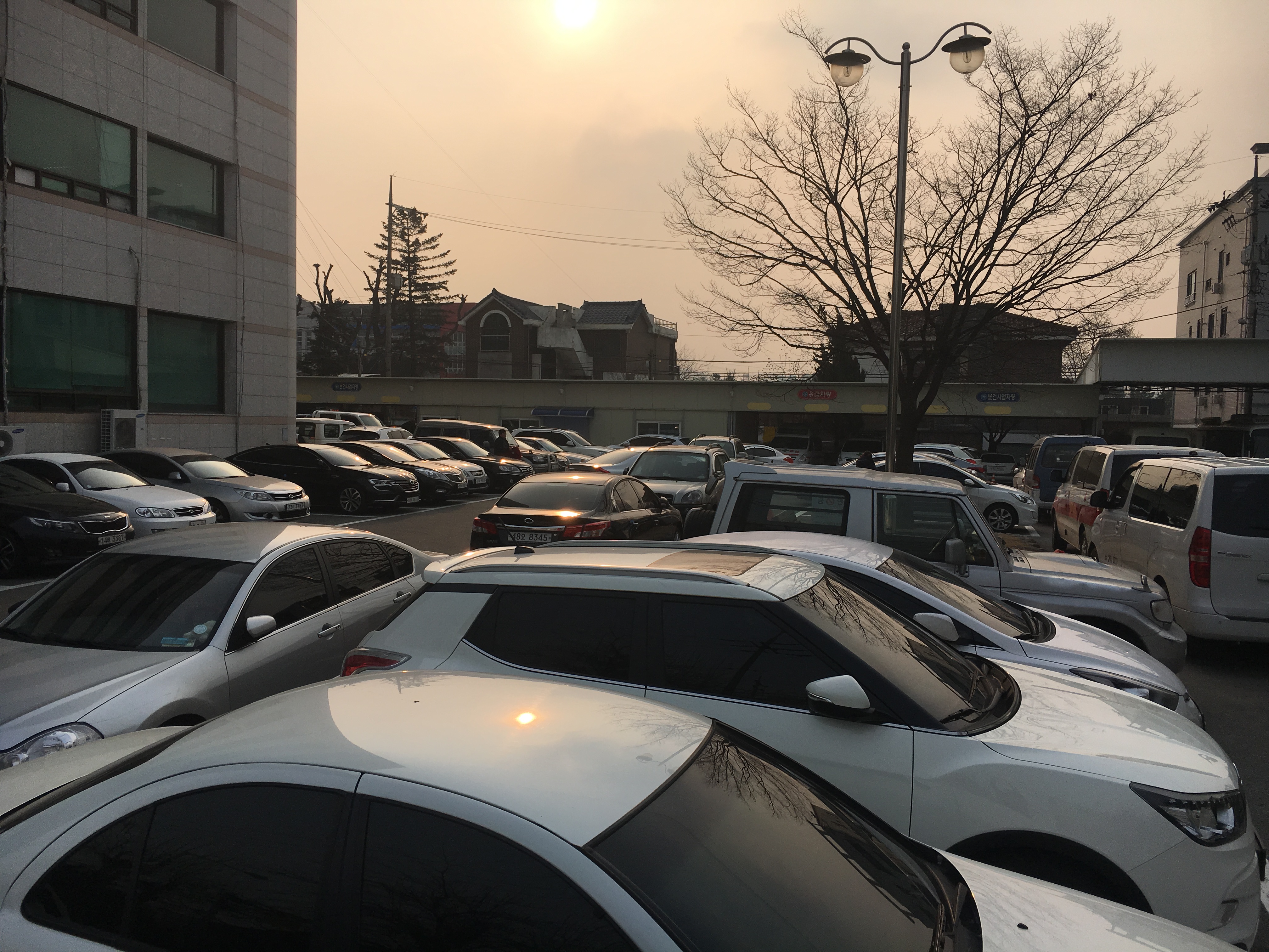 춘천시보건소 본관앞 1