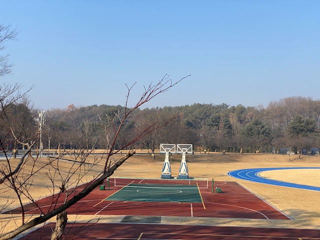 관세인재개발원 농구장 1