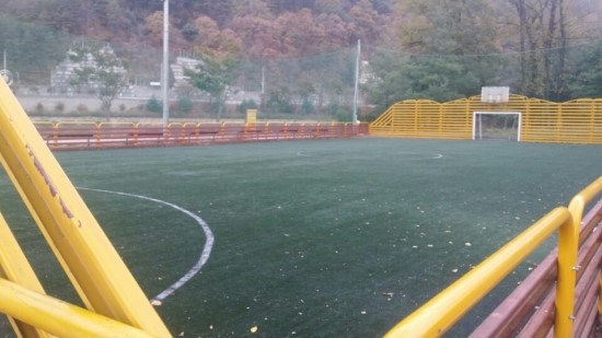 붕어섬 족구장 1
