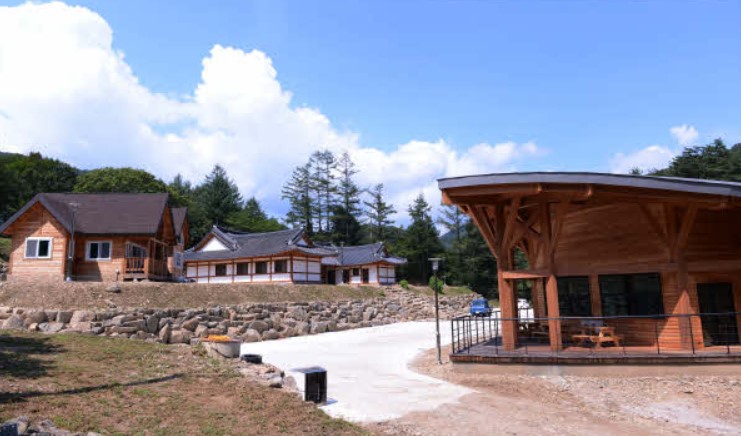 산약초마을 1