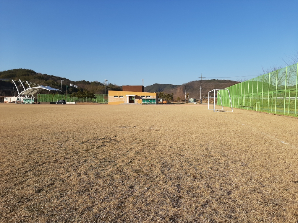 대의생활체육공원 1