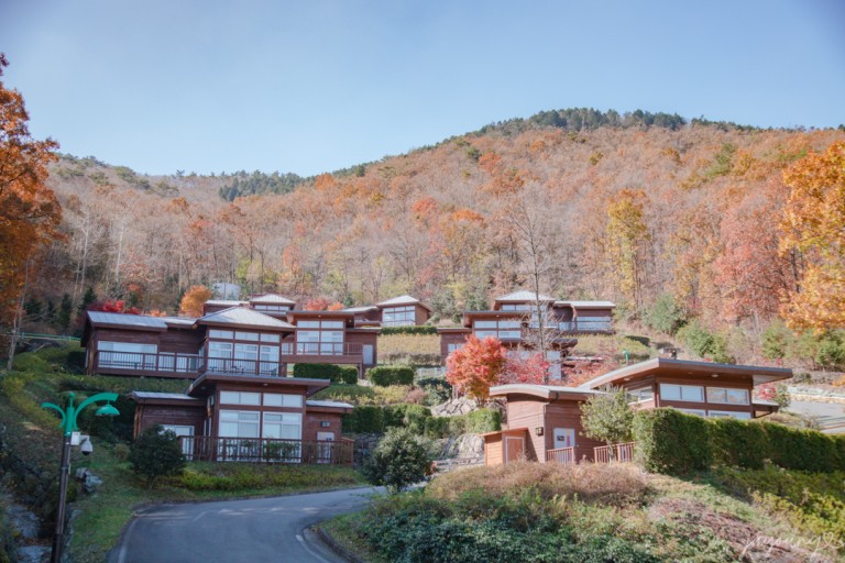 제암산자연휴양림 숙박시설 1