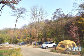 태학산자연휴양림 오토캠핑장 1