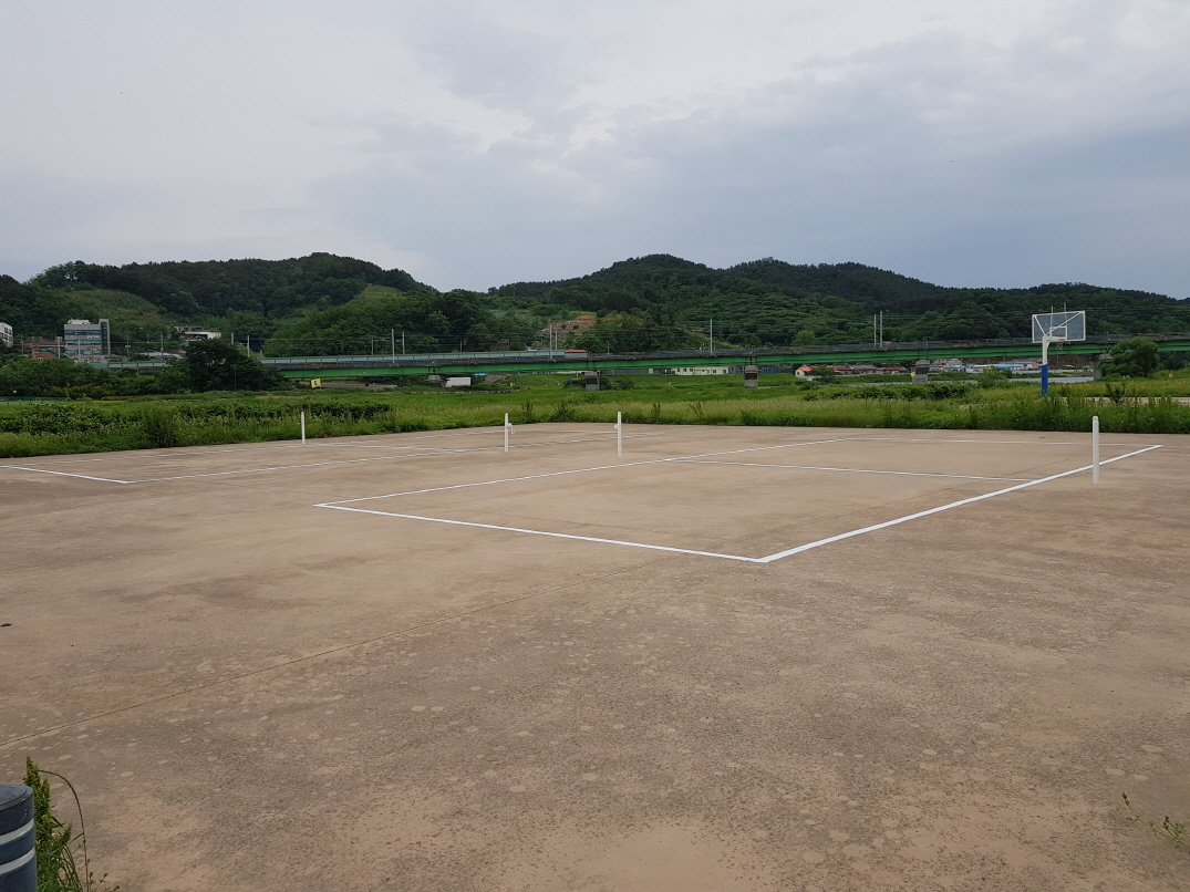 무한천족구장 1
