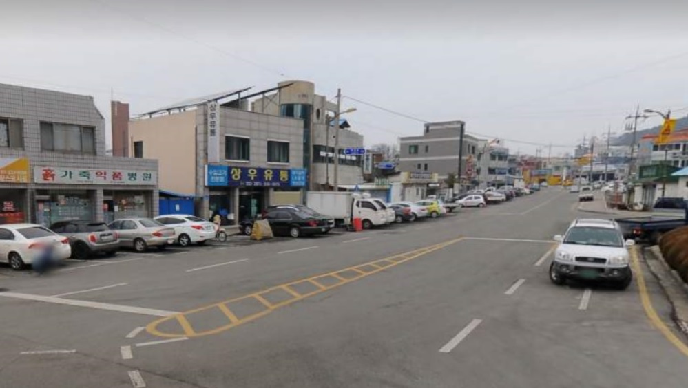 쌍송복개지 인기 명…