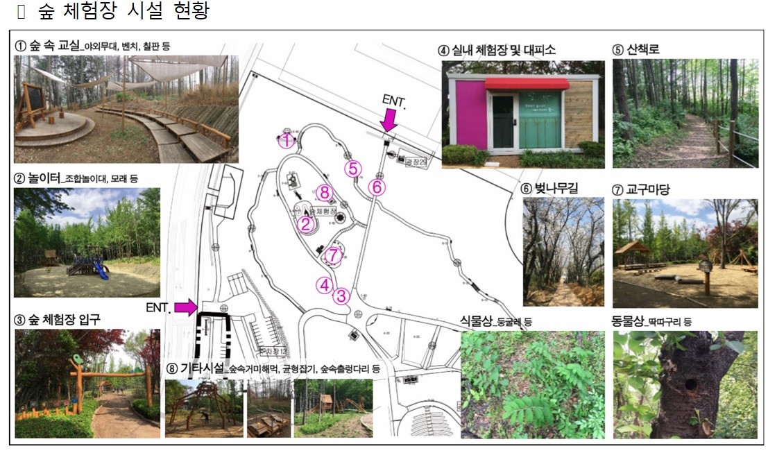 씨사이드파크 숲 체험 프로그램 1