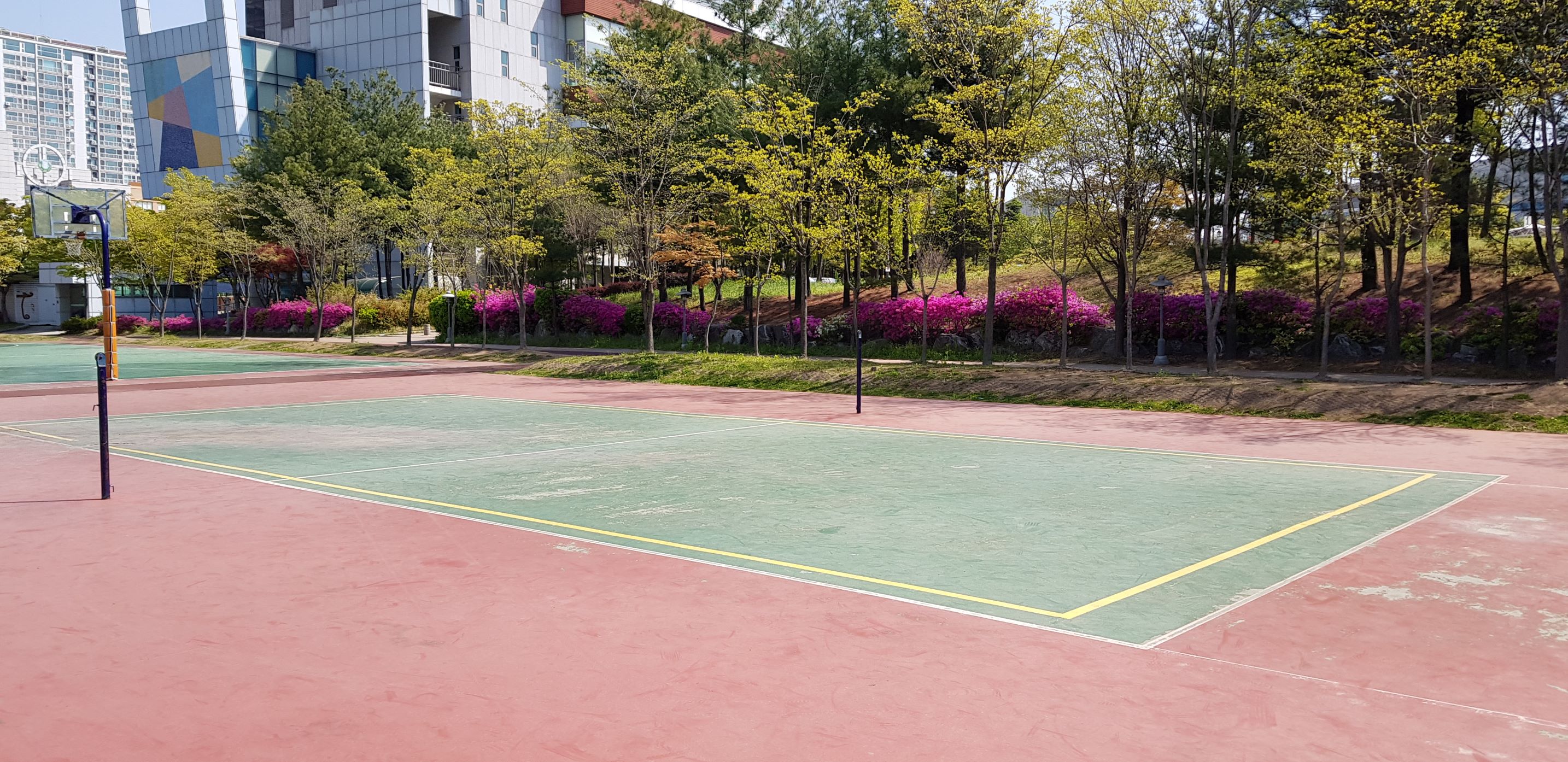 삼산월드체육관 족구장 1