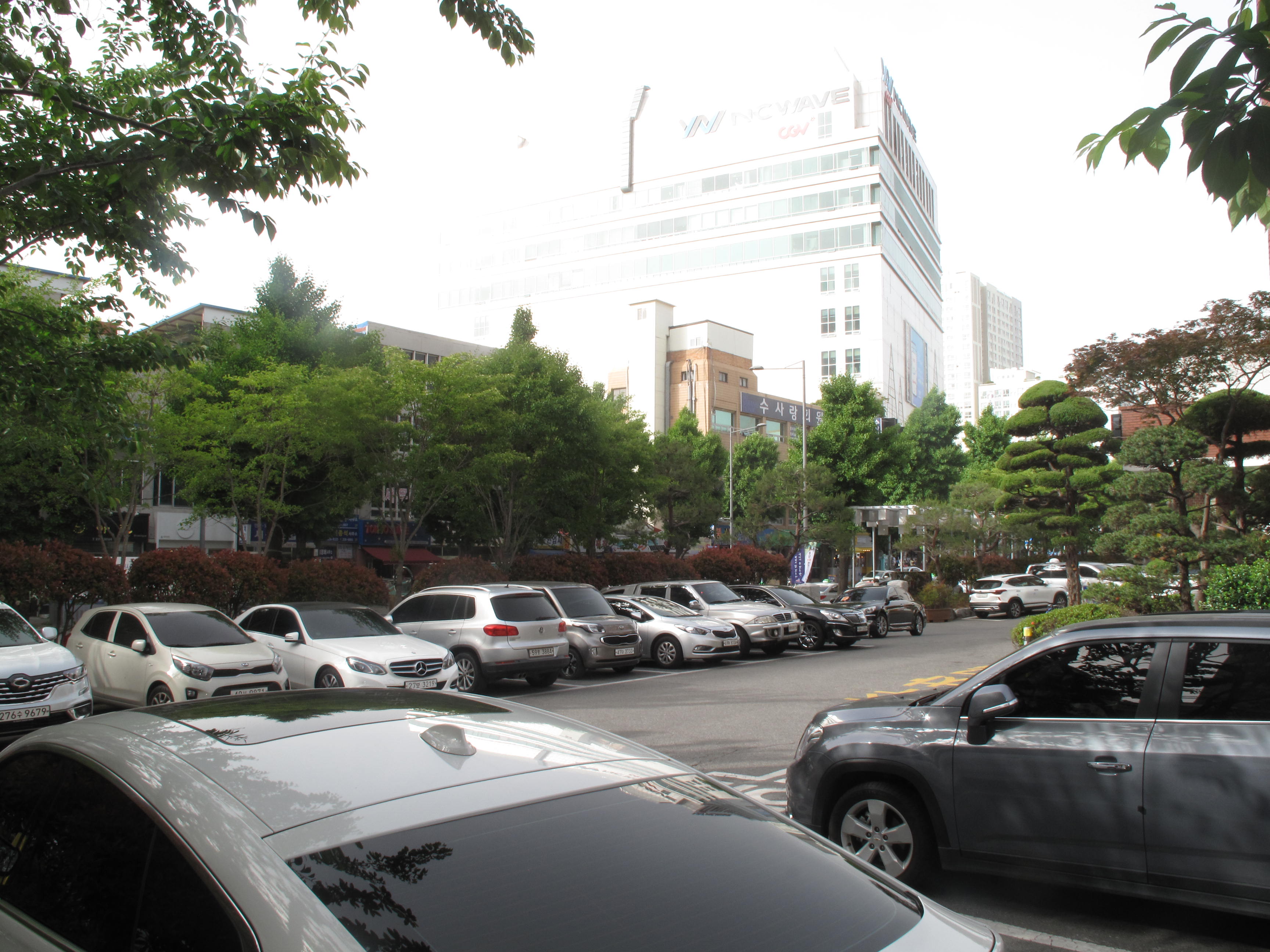 광주세무서 본관앞 …