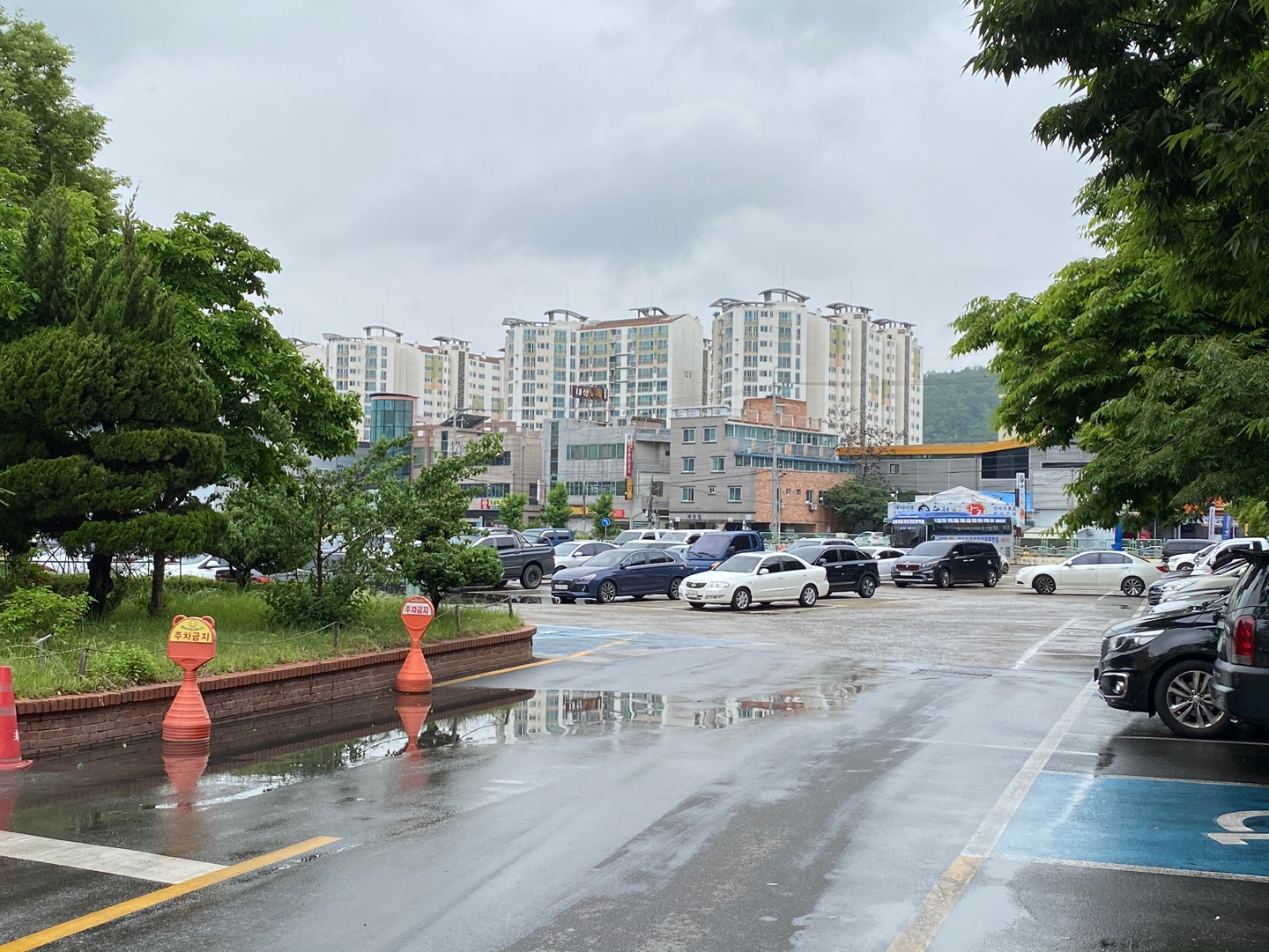 도로교통공단 대구운전면허시험장 주차장 3