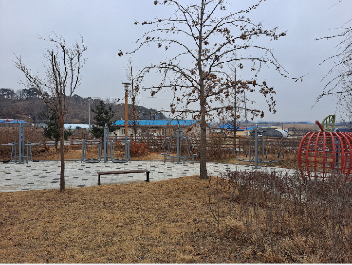 신가1리(삽다리공원) 야외운동기구 1