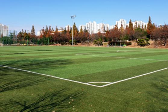 남산녹지공원 축구장 1