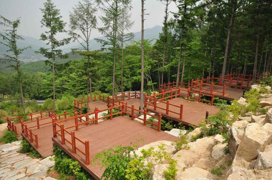 거창국민여가캠핑장 미리내숲 4