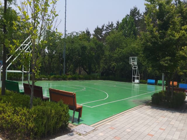 고원 사택 농구장 1