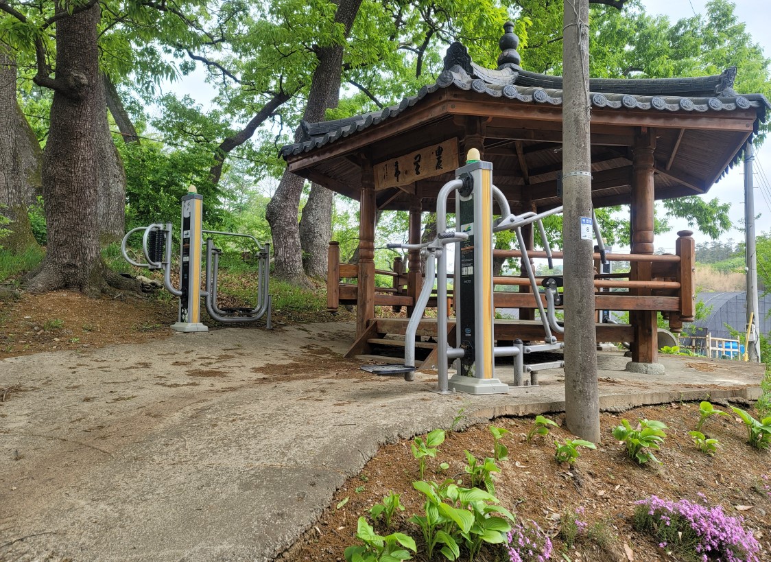 농리 야외운동기구 1