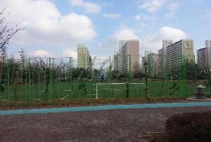 영등시민공원(축구장) 야외 1