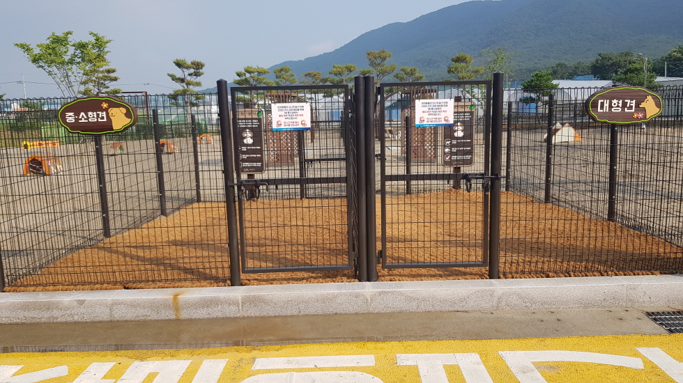 서산시 동물보호센터 반려견 놀이터 2