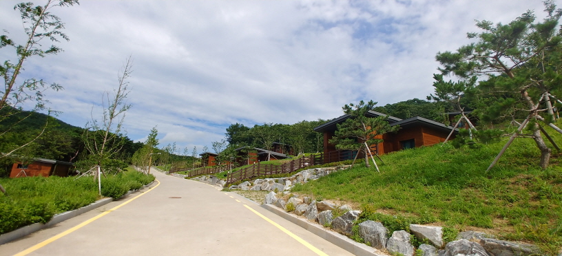 보현산자연휴양림 4