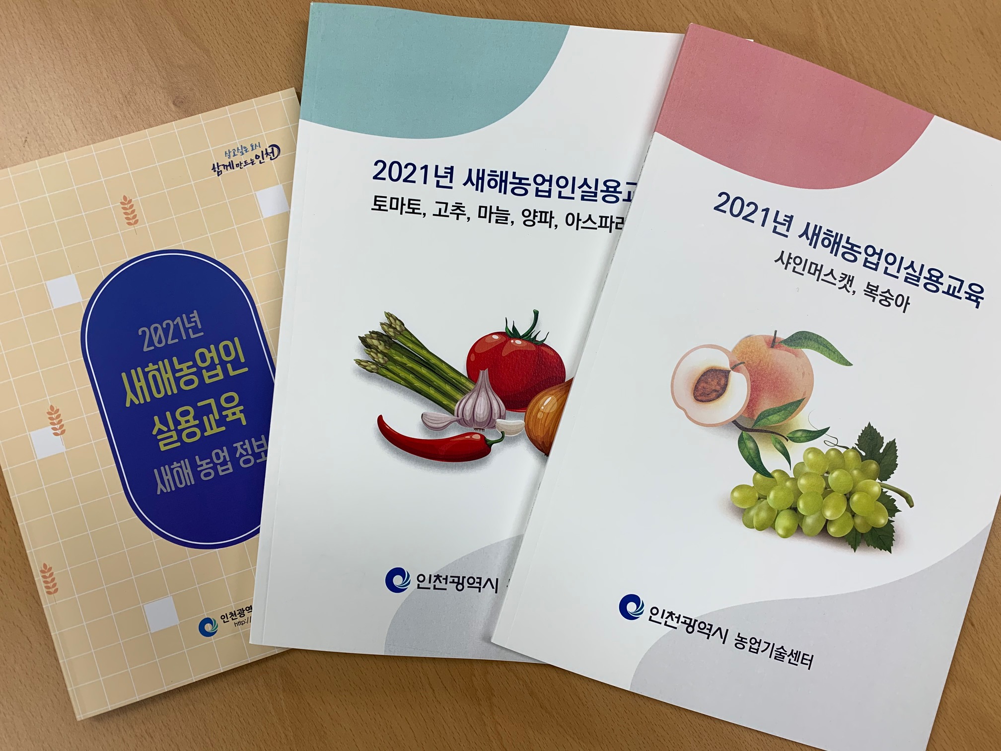 새해농업인실용교육 / 품목별 전문교육 1