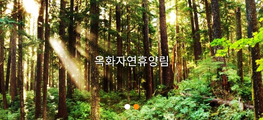 옥화자연휴양림 야영장 1