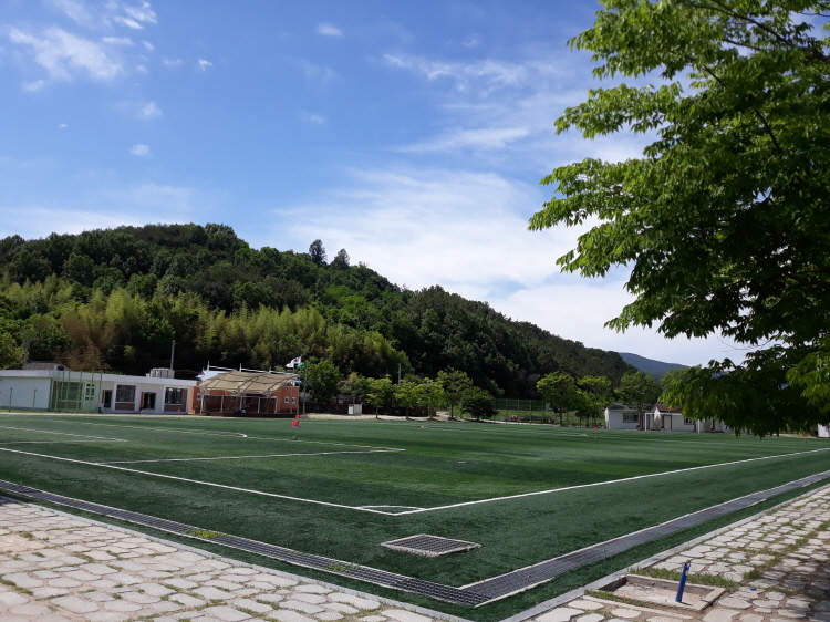 용덕공설운동장 1