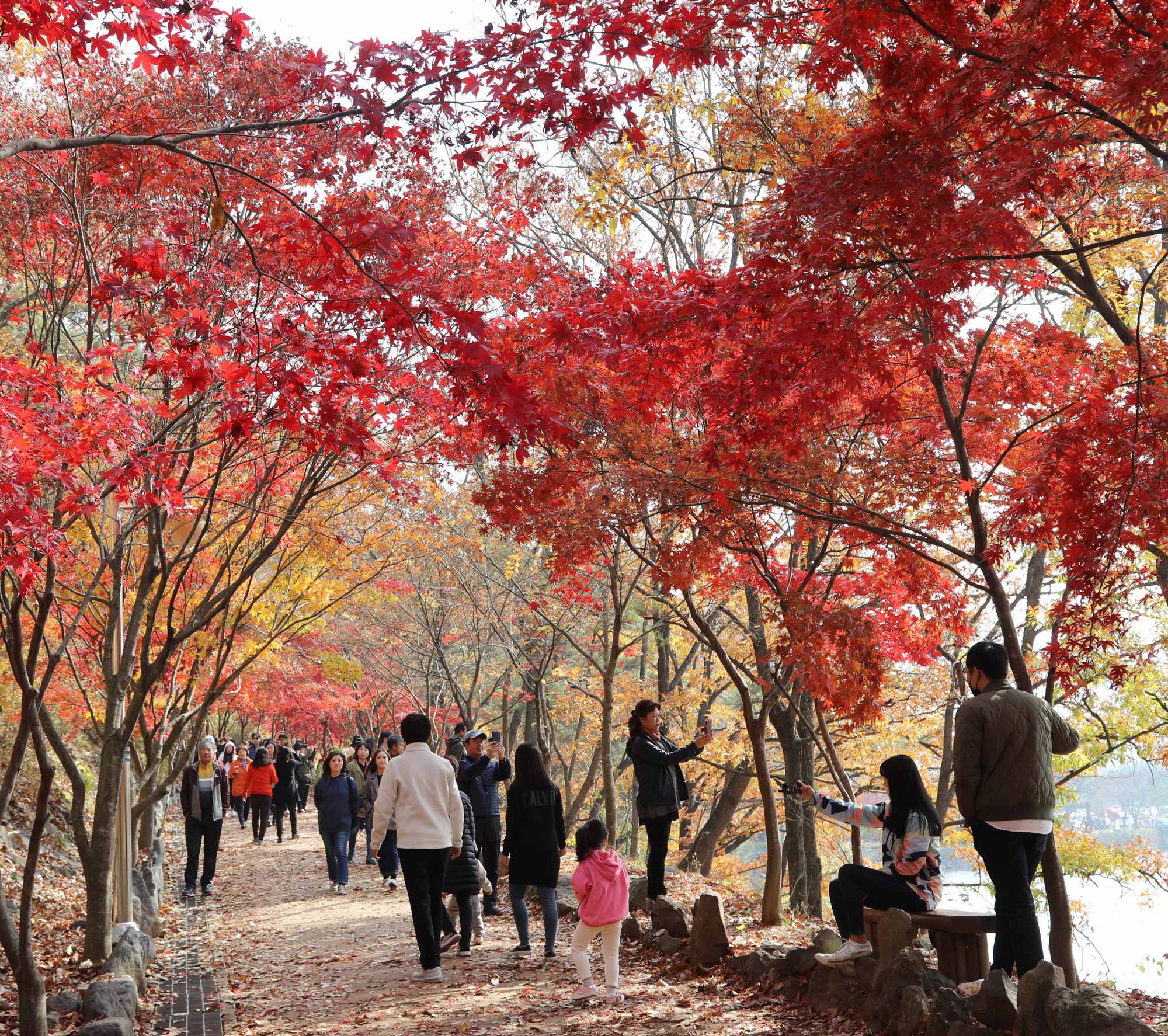 입곡군립공원 3