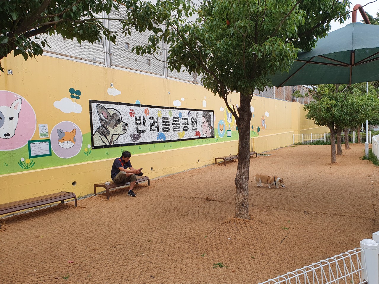 온천천 반려동물산책놀이공원 3