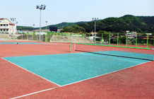 춘천송암스포츠타운 족구장 1