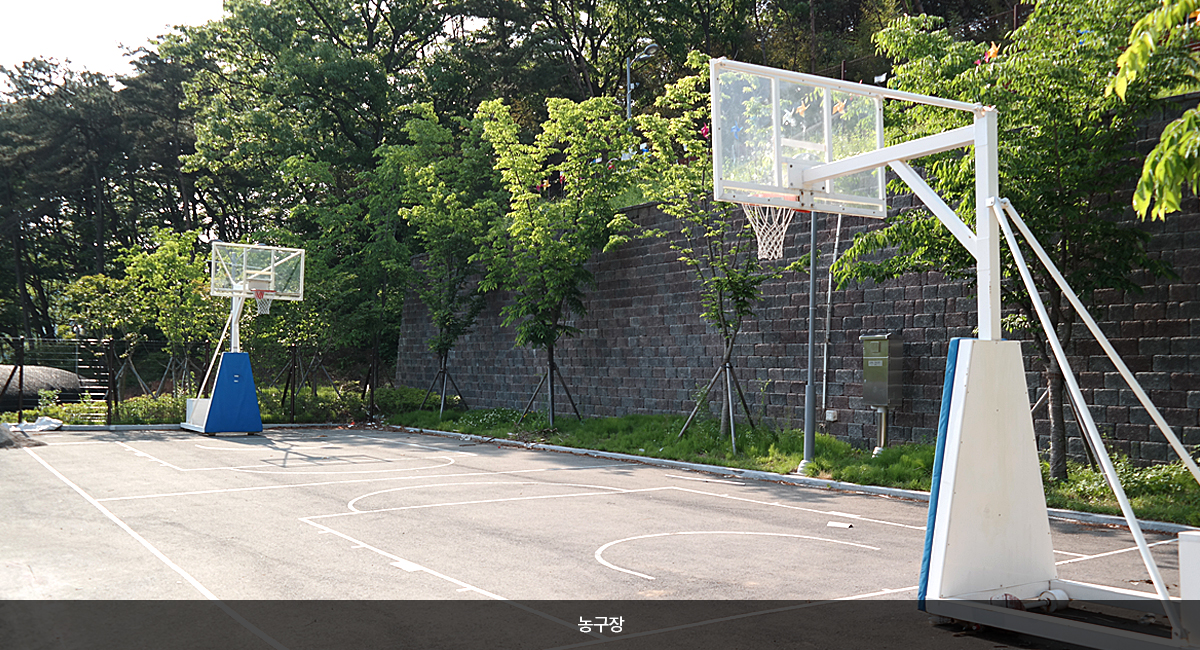 농구장 1