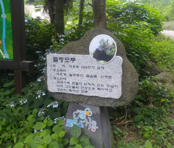 들렁모루산책로 1