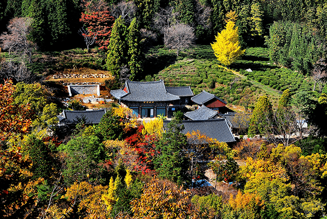 봉명산시립공원 1