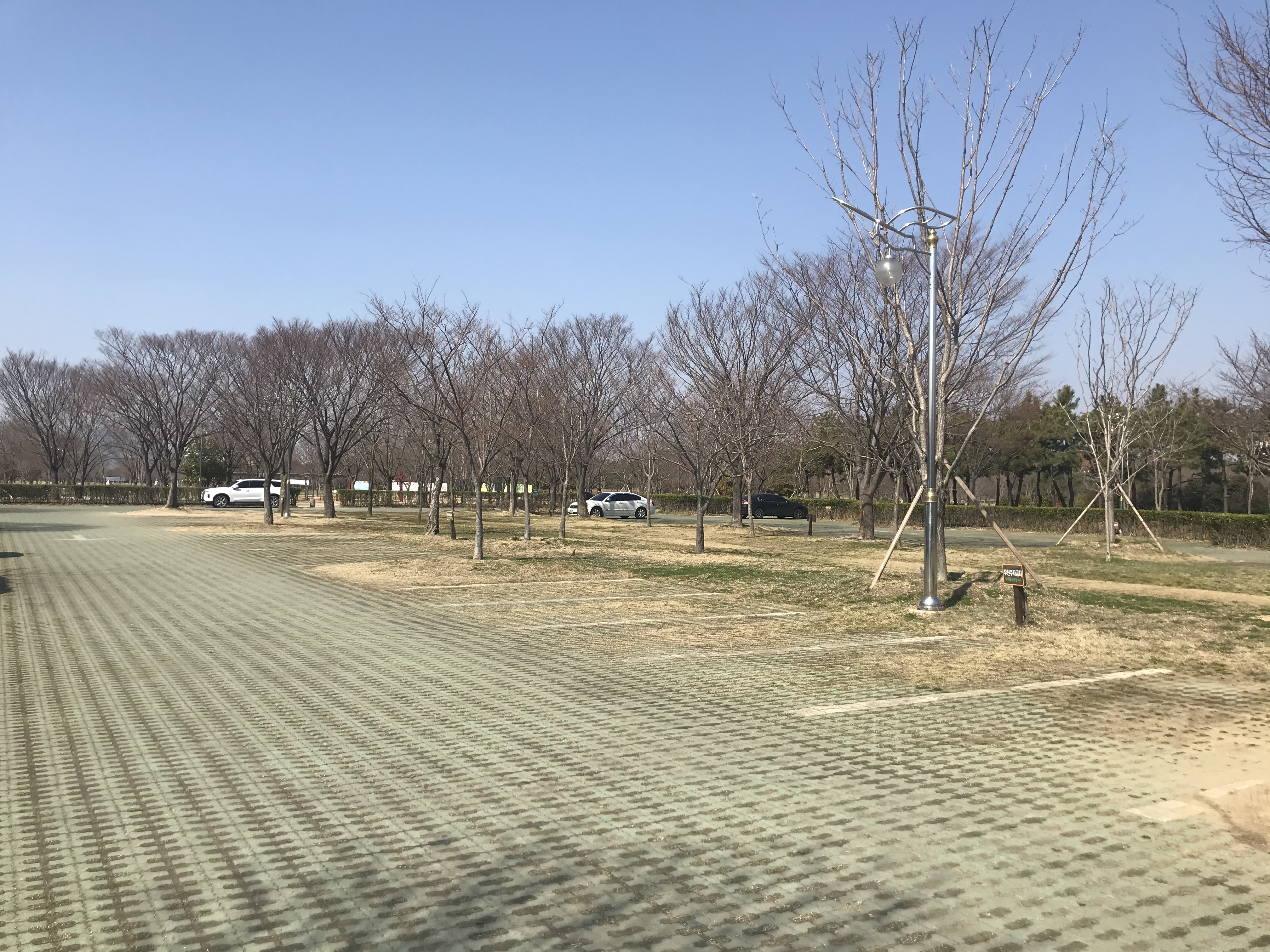 낙동강하구에코센터 주차장 2