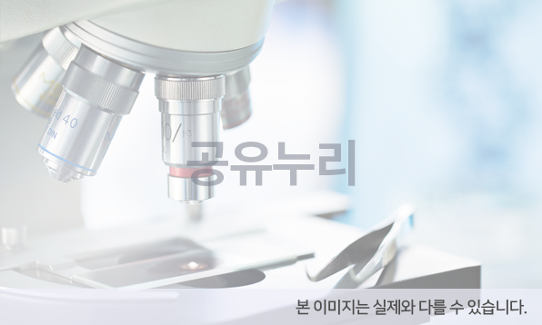 질량분석기(Thermo Scientific TSQ ALTIS MS)	